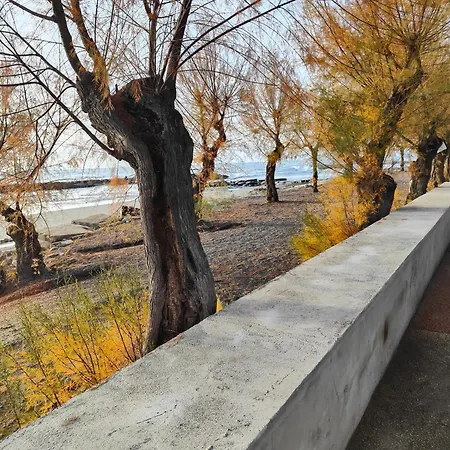 Piano Terra Vicino Al Mare Prázdninový dům Riva Ligure